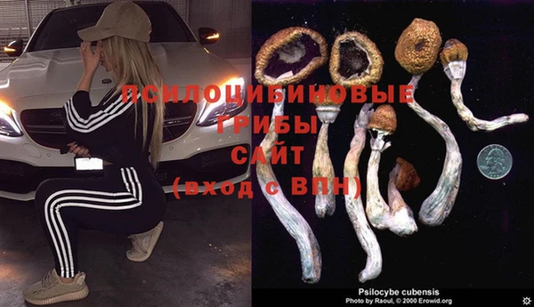 хмурый Абдулино